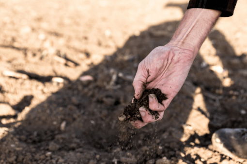 Drought, ground, water