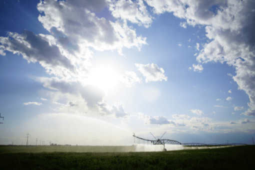 Irrigation, GWP